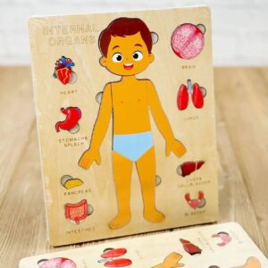 پازل اعضای بدن پسر(آناتومی)