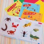 کتاب هوش و مفاهیم پایه (شکل ها و رنگ ها)