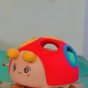 فیجتدندونی کفشدوزک