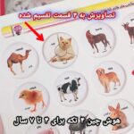 بازی آموزشی هوش چین پیشرفته وارداتی